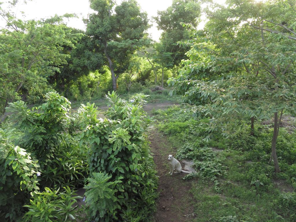 Finca La Magia Villa Ometepe Exterior photo